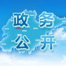 政务公开看山东